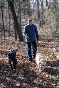 Happy Dogs