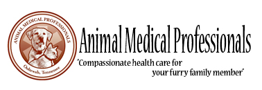 Animal Medical Professionals